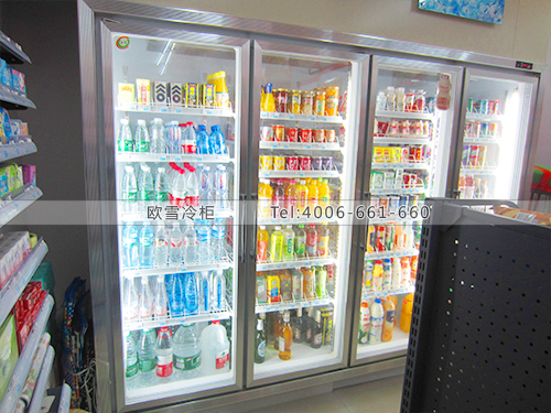 A060湖南长沙9577连锁便利店 冷柜冰柜工程案解析